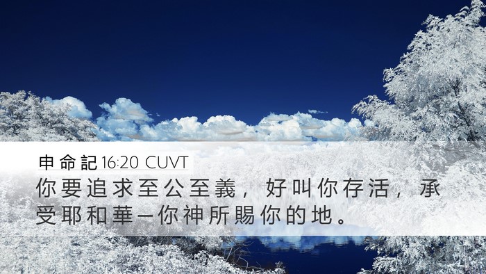 申 命 記 16:20 CUVT Desktop Wallpaper - 你 要 追 求 至 公 至 義 ， 好 叫 你 - Desktop Bible Verse Wallpaper