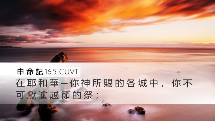 申 命 記 16:5 CUVT Bible Verse Image