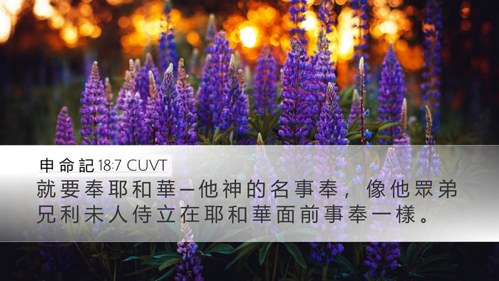 申 命 記 18:7 CUVT Bible Verse Image