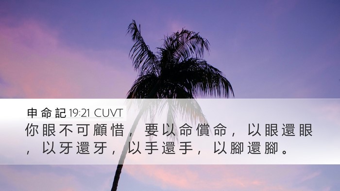 申 命 記 19:21 CUVT Bible Verse Image
