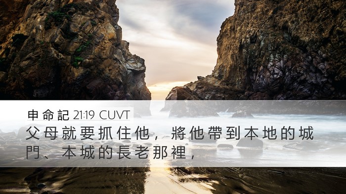 申 命 記 21:19 CUVT Bible Verse Image
