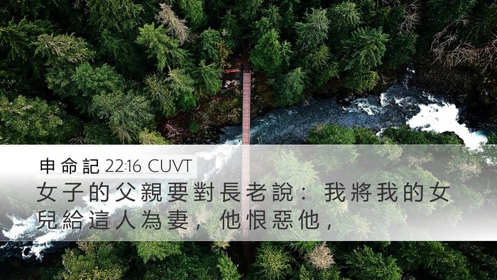 申 命 記 22:16 CUVT Desktop Wallpaper - 女 子 的 父 親 要 對 長 老 說 ： 我 - Desktop Bible Verse Wallpaper