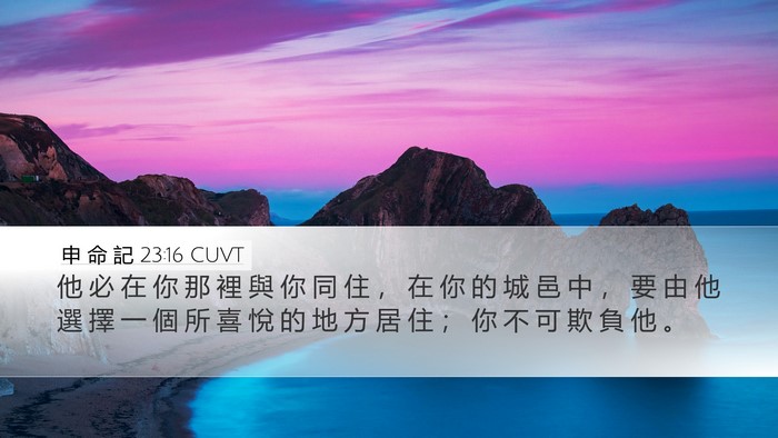 申 命 記 23:16 CUVT Desktop Wallpaper - 他 必 在 你 那 裡 與 你 同 住 ， 在 - Desktop Bible Verse Wallpaper