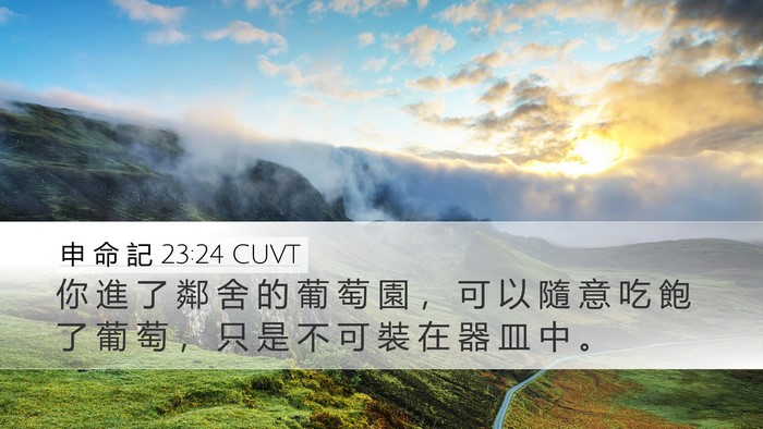 申 命 記 23:24 CUVT Desktop Wallpaper - 你 進 了 鄰 舍 的 葡 萄 園 ， 可 以 - Desktop Bible Verse Wallpaper