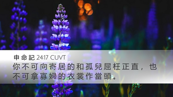 申 命 記 24:17 CUVT Bible Verse Image