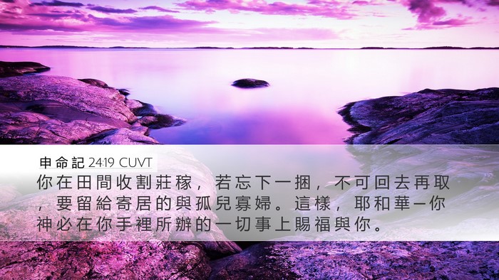申 命 記 24:19 CUVT Bible Verse Image