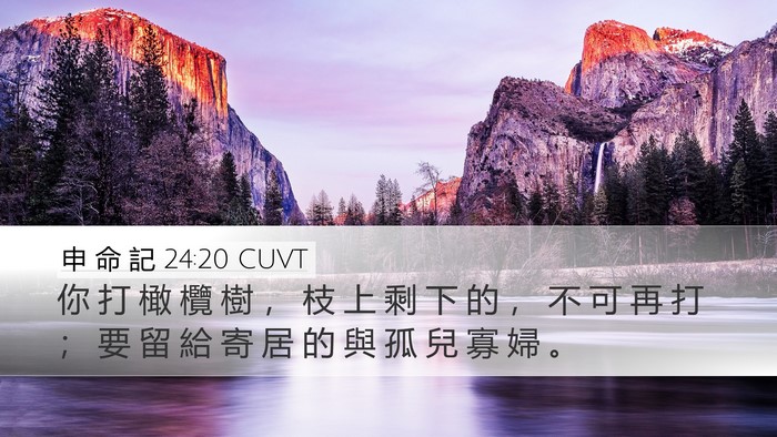 申 命 記 24:20 CUVT Desktop Wallpaper - 你 打 橄 欖 樹 ， 枝 上 剩 下 的 ， - Desktop Bible Verse Wallpaper