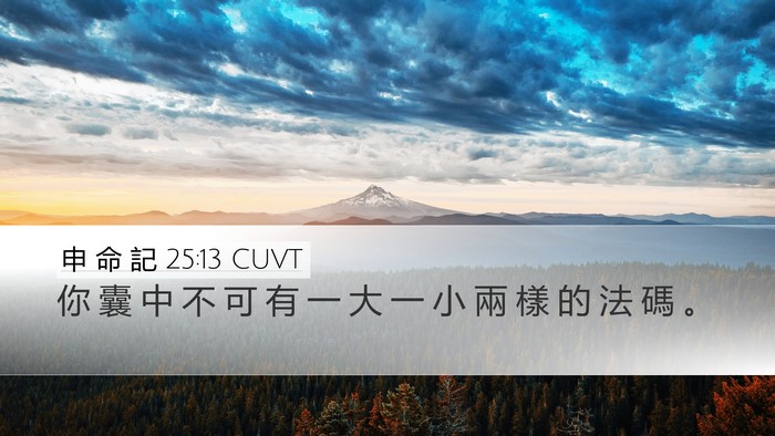 申 命 記 25:13 CUVT Bible Verse Image