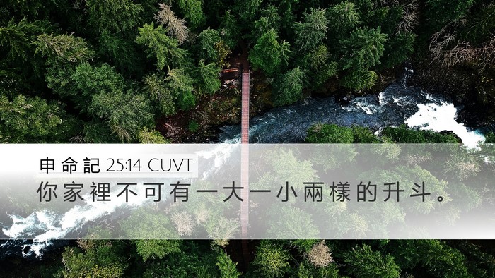 申 命 記 25:14 CUVT Desktop Wallpaper - 你 家 裡 不 可 有 一 大 一 小 兩 樣 - Desktop Bible Verse Wallpaper