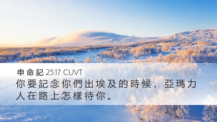 申 命 記 25:17 CUVT Bible Verse Image