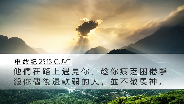申 命 記 25:18 CUVT Bible Verse Image