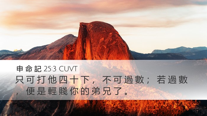 申 命 記 25:3 CUVT Desktop Wallpaper - 只 可 打 他 四 十 下 ， 不 可 過 數 - Desktop Bible Verse Wallpaper