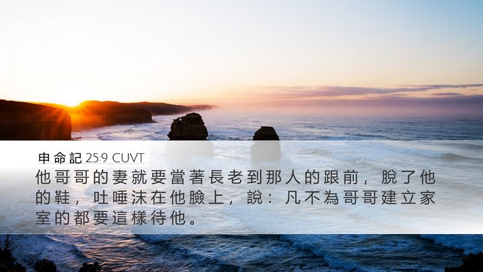 申 命 記 25:9 CUVT Bible Verse Image