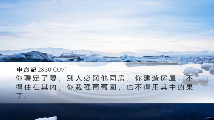 申 命 記 28:30 CUVT Bible Verse Image
