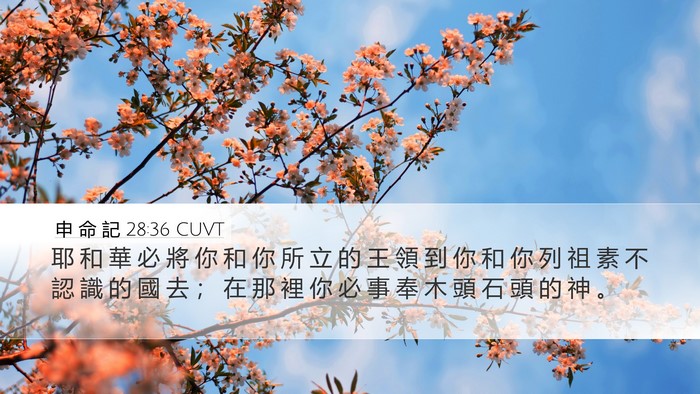申 命 記 28:36 CUVT Bible Verse Image