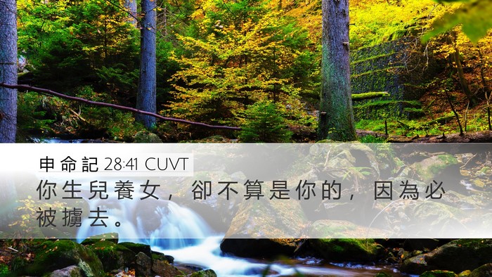 申 命 記 28:41 CUVT Bible Verse Image