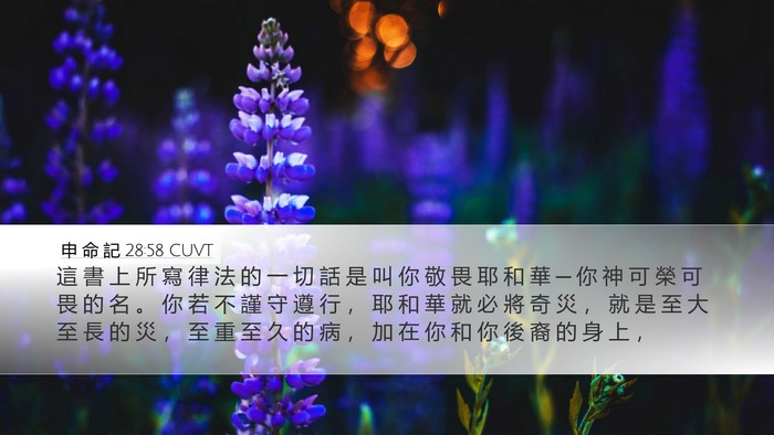 申 命 記 28:58 CUVT Bible Verse Image