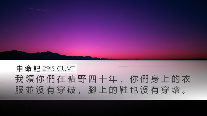 申 命 記 29:5 CUVT Bible Verse Image