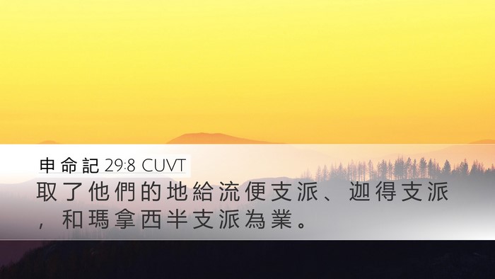 申 命 記 29:8 CUVT Desktop Wallpaper - 取 了 他 們 的 地 給 流 便 支 派 、 - Desktop Bible Verse Wallpaper