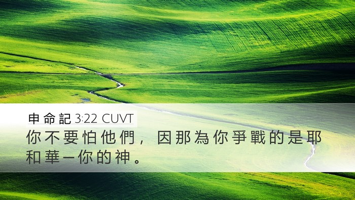 申 命 記 3:22 CUVT Bible Verse Image