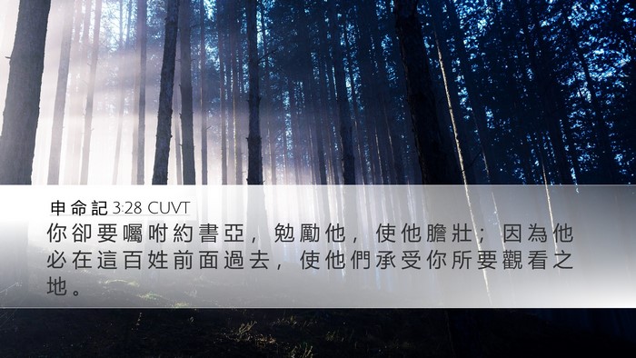 申 命 記 3:28 CUVT Bible Verse Image
