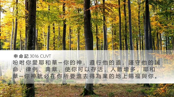 申 命 記 30:16 CUVT Bible Verse Image