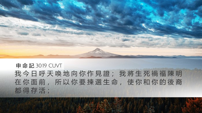 申 命 記 30:19 CUVT Bible Verse Image