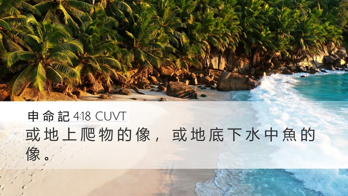 申 命 記 4:18 CUVT Desktop Wallpaper - 或 地 上 爬 物 的 像 ， 或 地 底 下 - Desktop Bible Verse Wallpaper