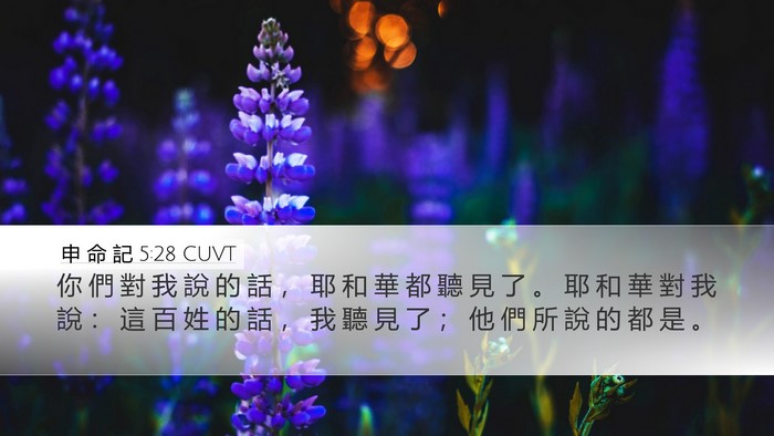 申 命 記 5:28 CUVT Bible Verse Image