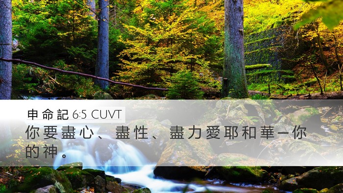 申 命 記 6:5 CUVT Desktop Wallpaper - 你 要 盡 心 、 盡 性 、 盡 力 愛 耶 - Desktop Bible Verse Wallpaper