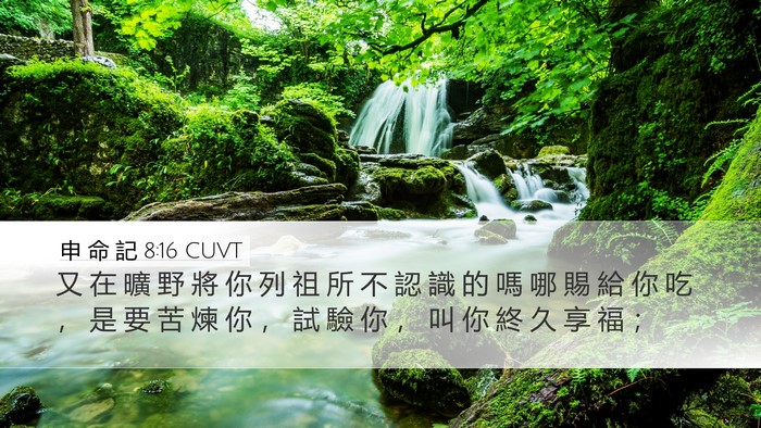 申 命 記 8:16 CUVT Bible Verse Image