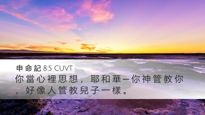 申 命 記 8:5 CUVT Bible Verse Image