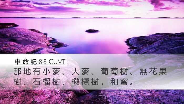 申 命 記 8:8 CUVT Bible Verse Image