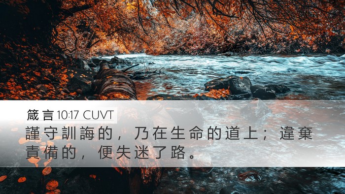箴 言 10:17 CUVT Desktop Wallpaper - 謹 守 訓 誨 的 ， 乃 在 生 命 的 道 - Desktop Bible Verse Wallpaper