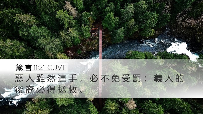 箴 言 11:21 CUVT Bible Verse Image