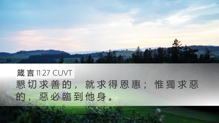 箴 言 11:27 CUVT Bible Verse Image