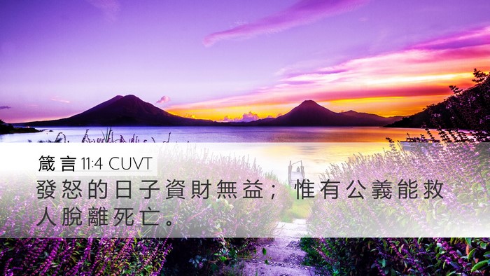 箴 言 11:4 CUVT Bible Verse Image