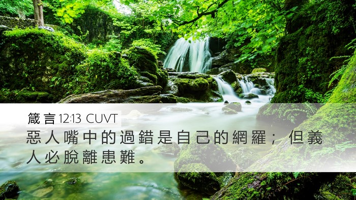 箴 言 12:13 CUVT Bible Verse Image