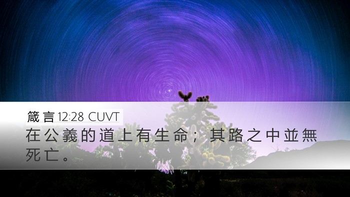 箴 言 12:28 CUVT Desktop Wallpaper - 在 公 義 的 道 上 有 生 命 ； 其 路 - Desktop Bible Verse Wallpaper