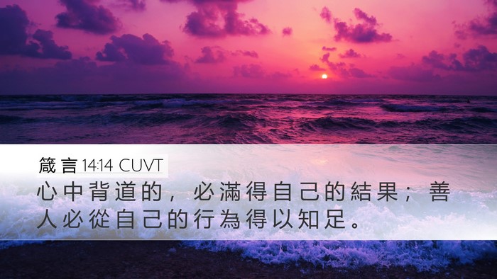 箴 言 14:14 CUVT Bible Verse Image