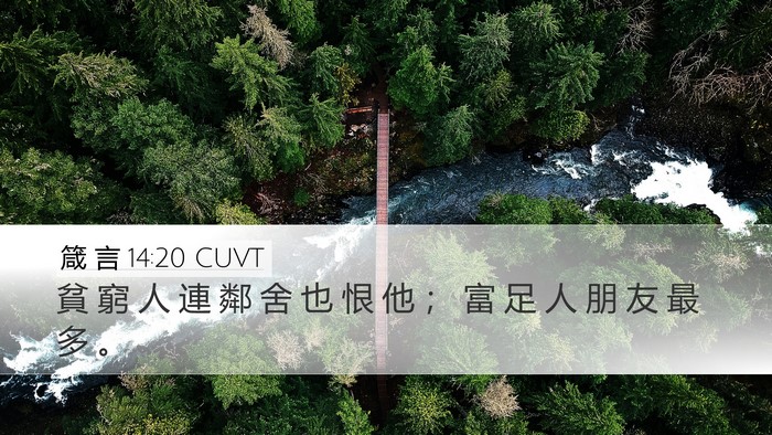 箴 言 14:20 CUVT Bible Verse Image