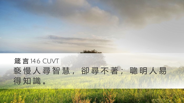 箴 言 14:6 CUVT Bible Verse Image