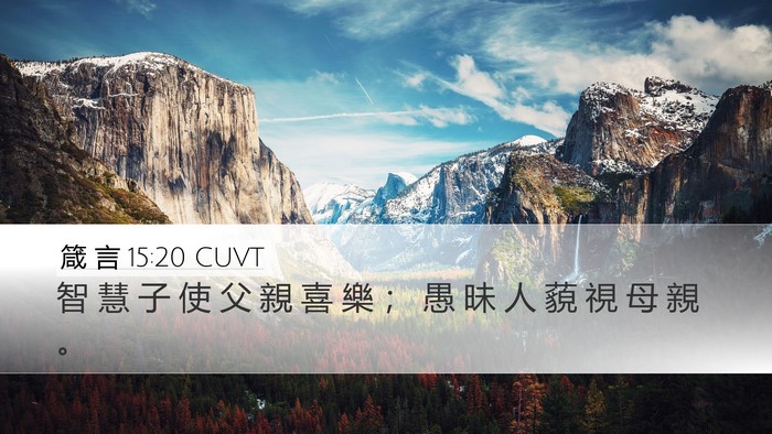 箴 言 15:20 CUVT Bible Verse Image