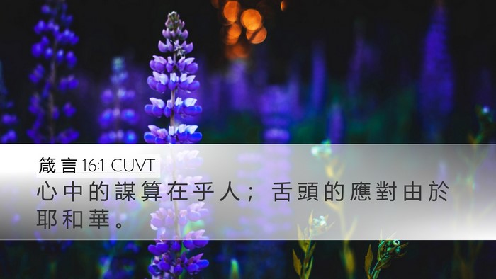 箴 言 16:1 CUVT Bible Verse Image