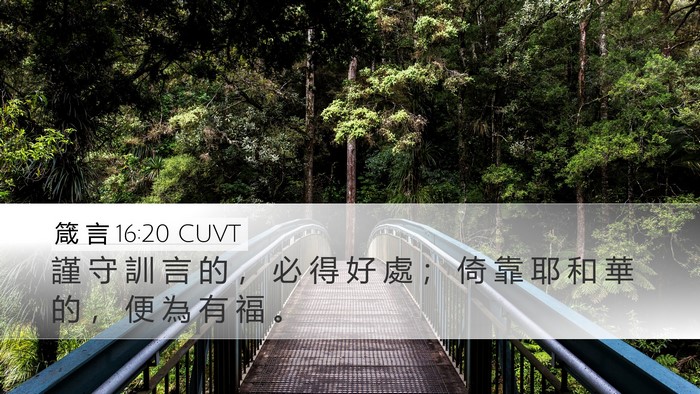 箴 言 16:20 CUVT Bible Verse Image
