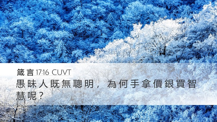 箴 言 17:16 CUVT Bible Verse Image