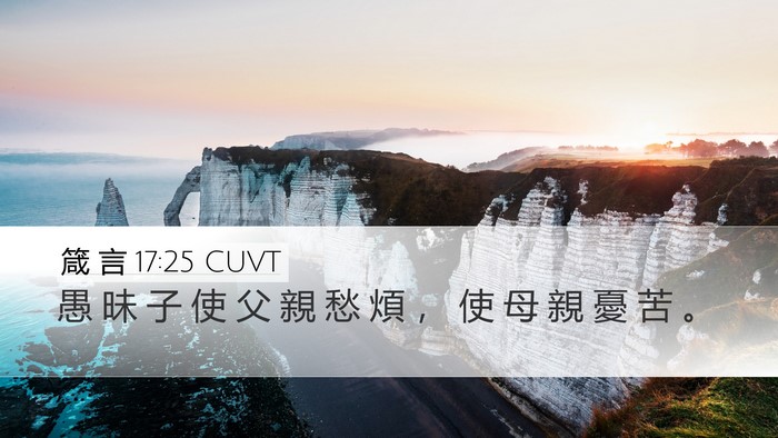 箴 言 17:25 CUVT Bible Verse Image