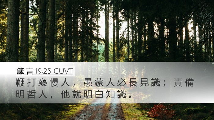 箴 言 19:25 CUVT Desktop Wallpaper - 鞭 打 褻 慢 人 ， 愚 蒙 人 必 長 見 - Desktop Bible Verse Wallpaper