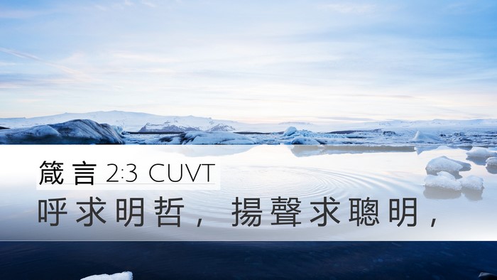箴 言 2:3 CUVT Bible Verse Image