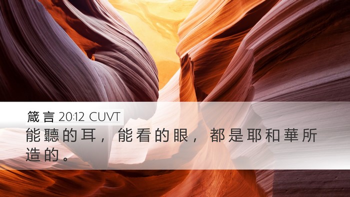 箴 言 20:12 CUVT Bible Verse Image